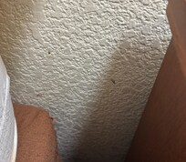 Various splatters of ?? on the walls.