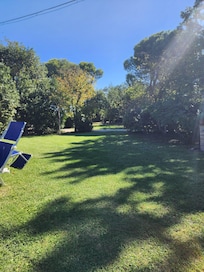 Grounds