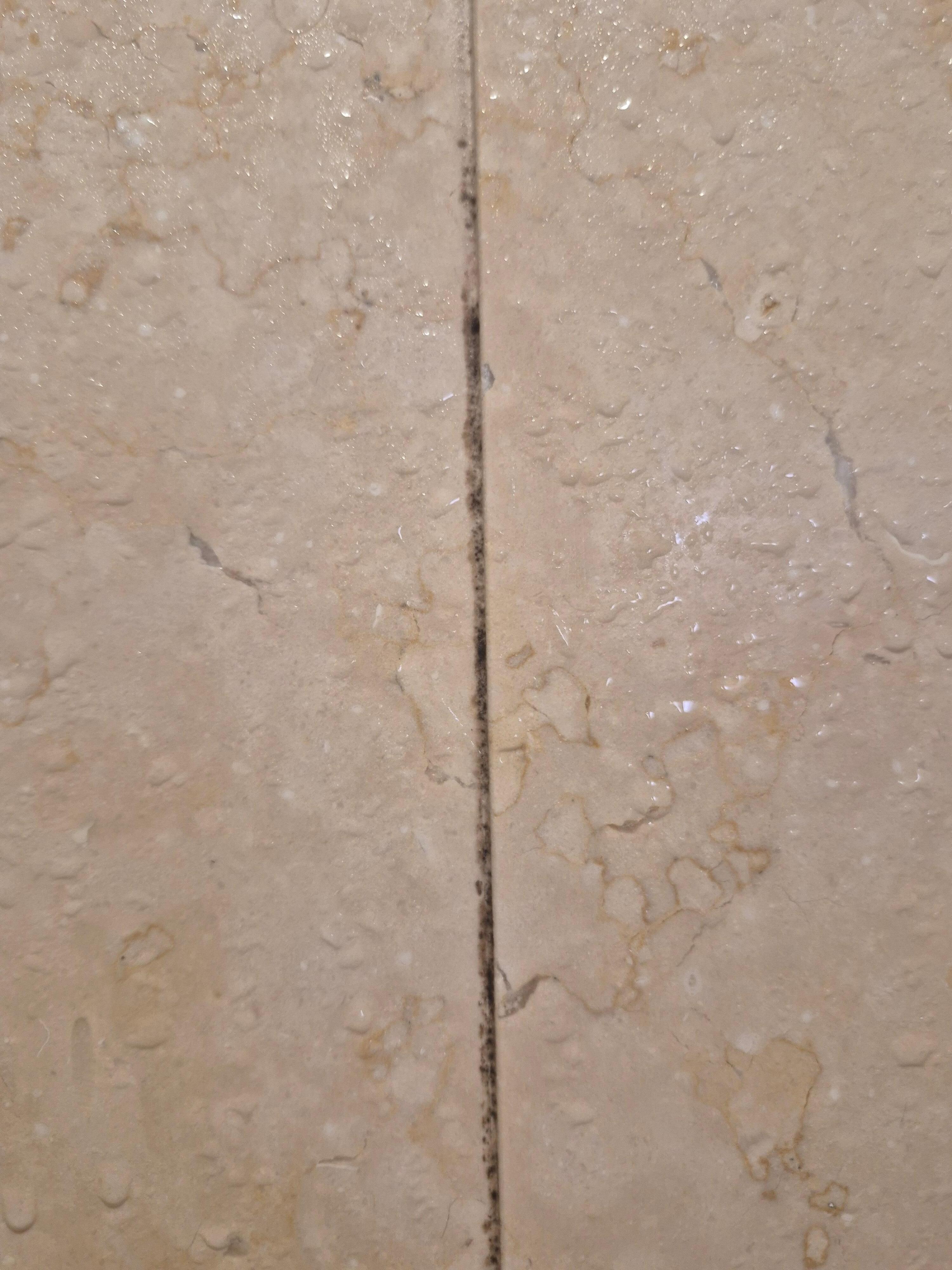 Mold in the cracks