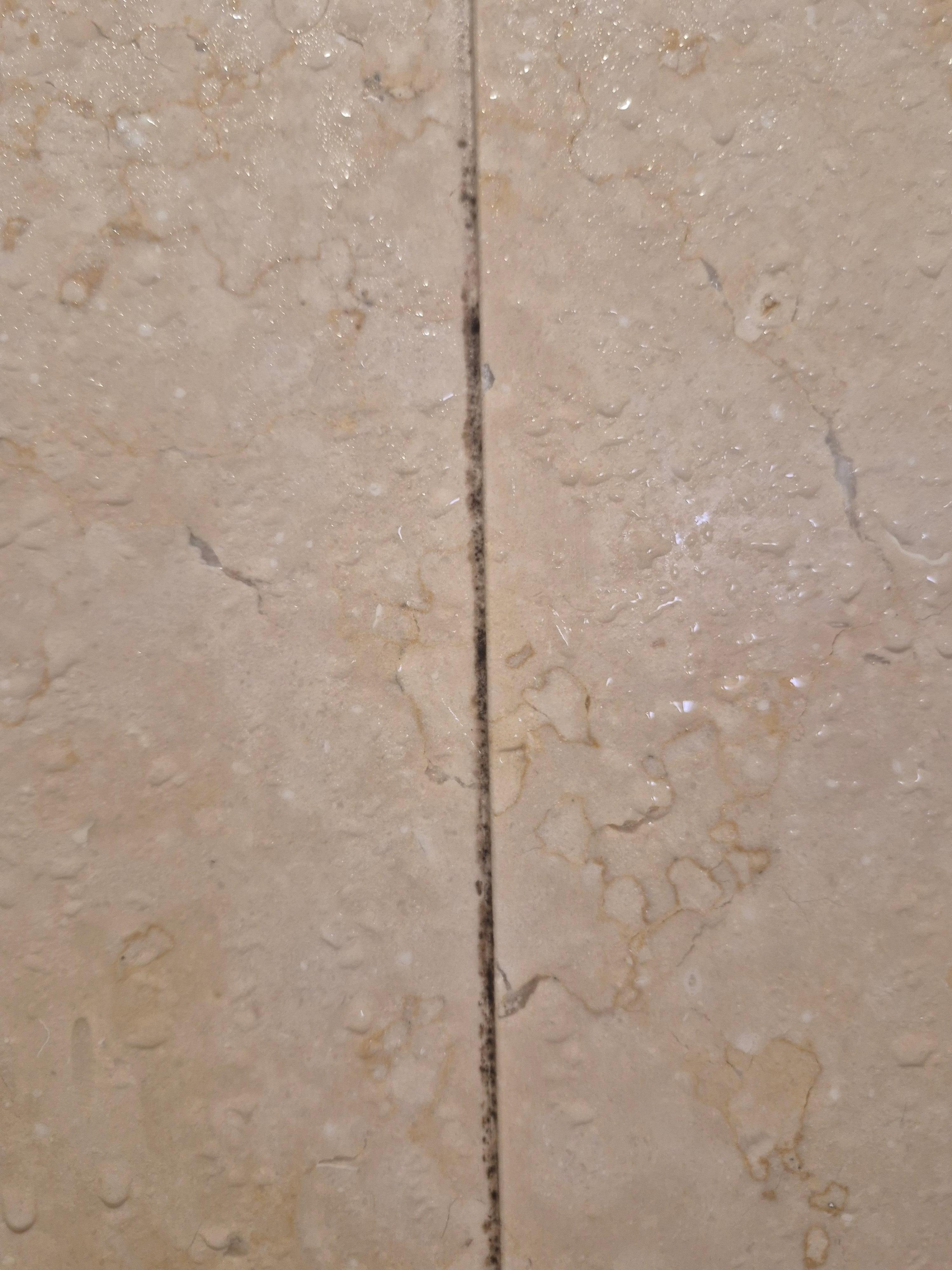 Mold in the cracks