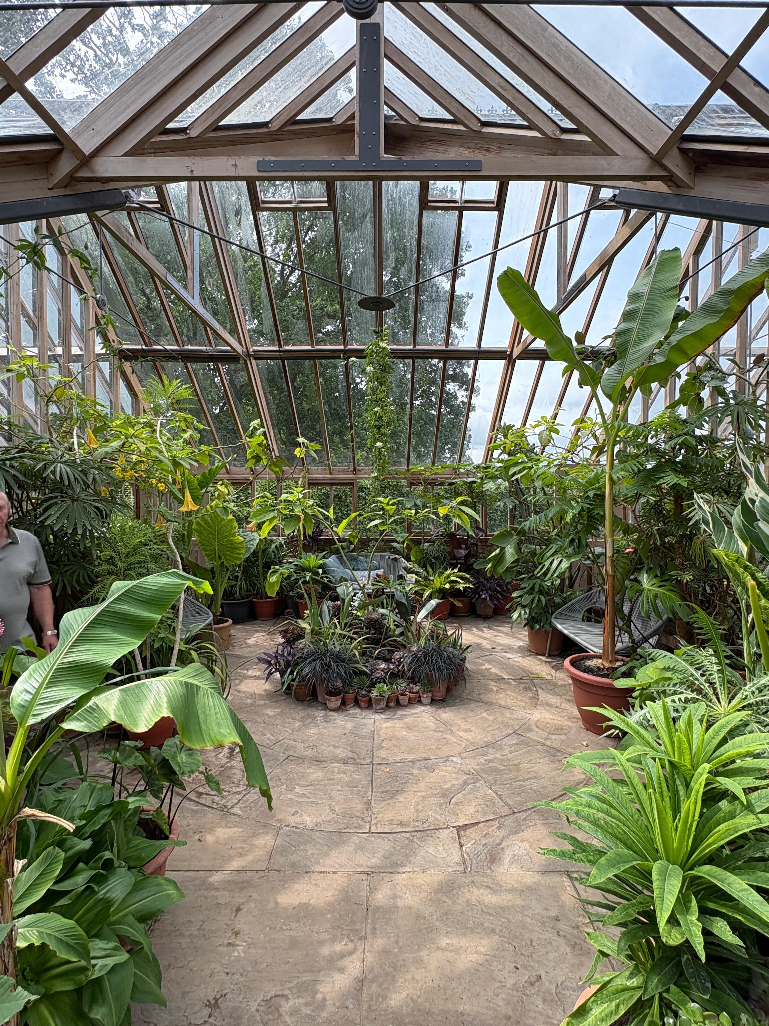 Kitchen glasshouse