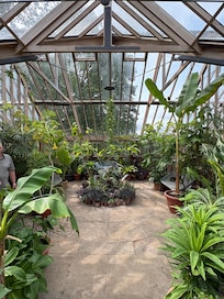Kitchen glasshouse