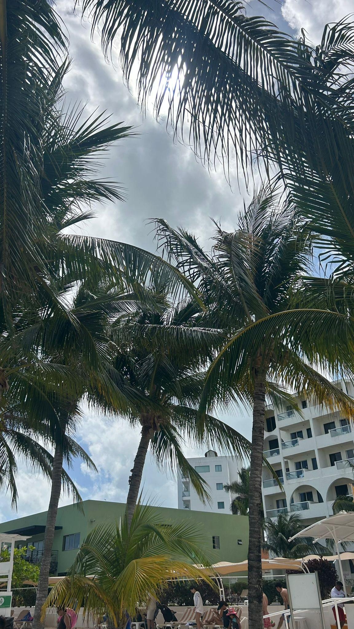 Sur la plage de l'hôtel.