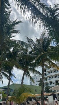 Sur la plage de l'hôtel.