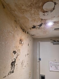 This is the room that shared a wall with my room !!