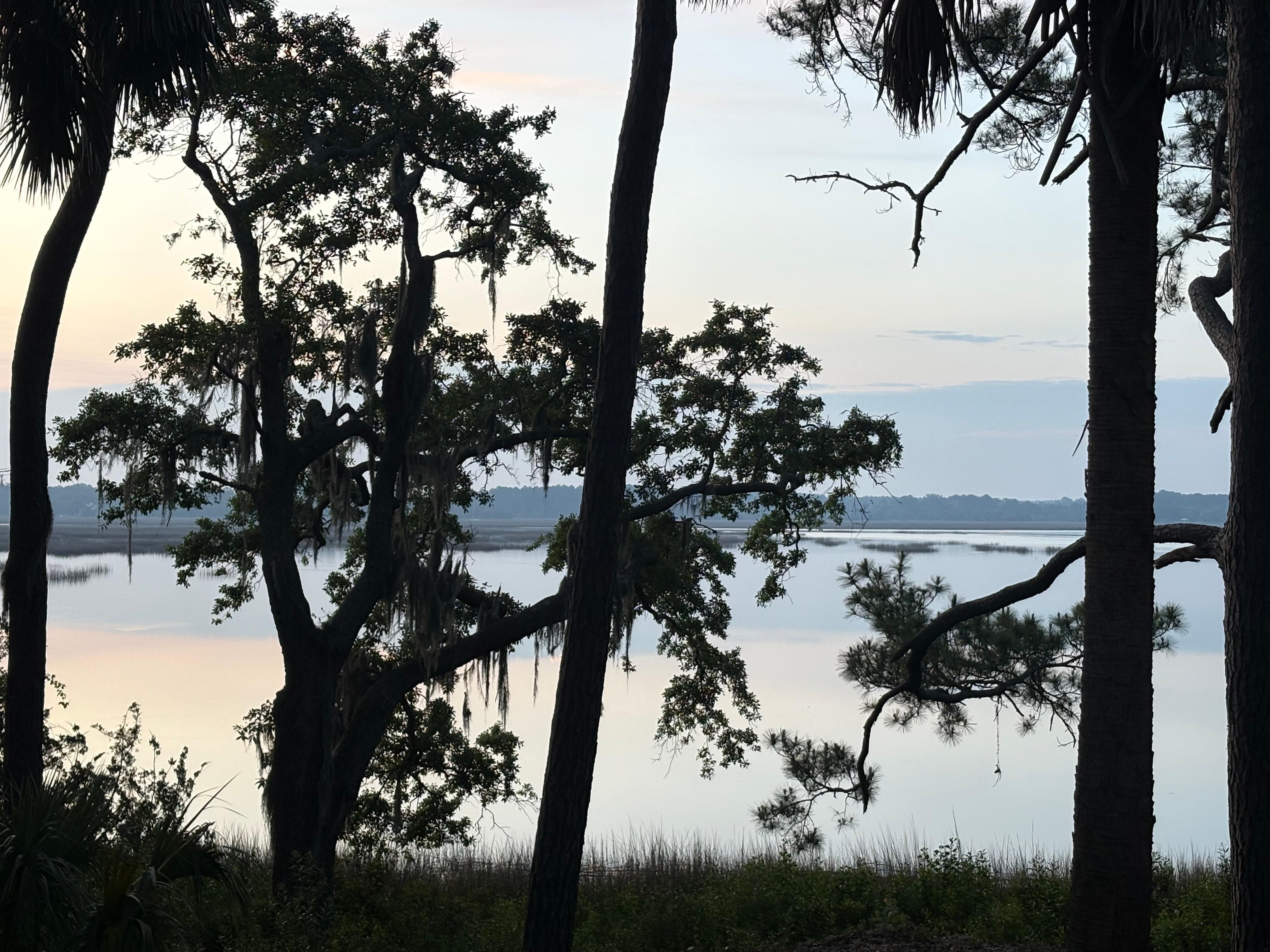 Morning sunrise from the property. 