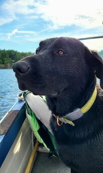 A Pet Friendly place but with certainty that guests will be responsible for care and consideration with respect to monitoring and cleaning up after your pet.