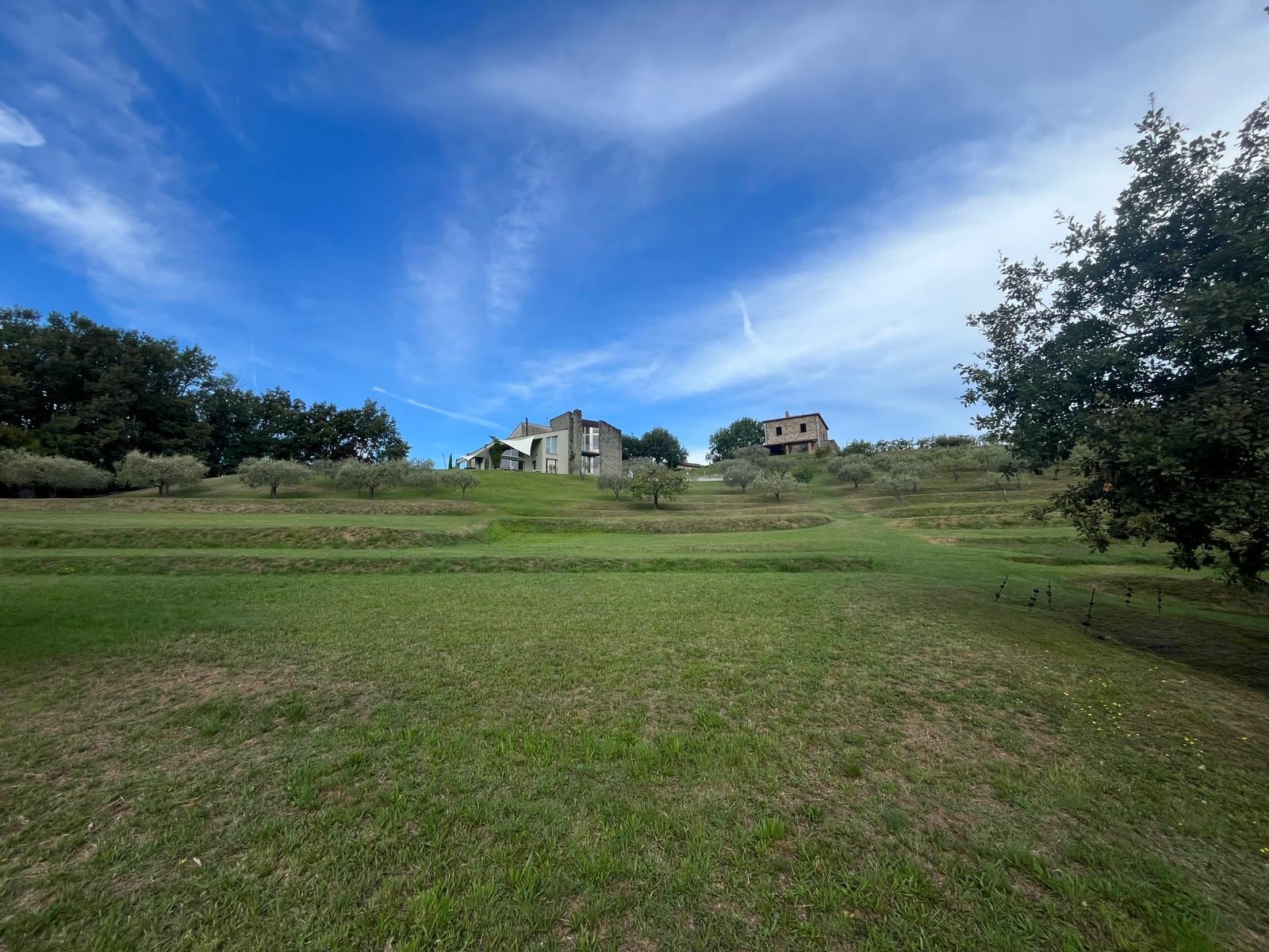 Vila and its vineyard