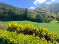 Beautiful view from The Porch reataurant