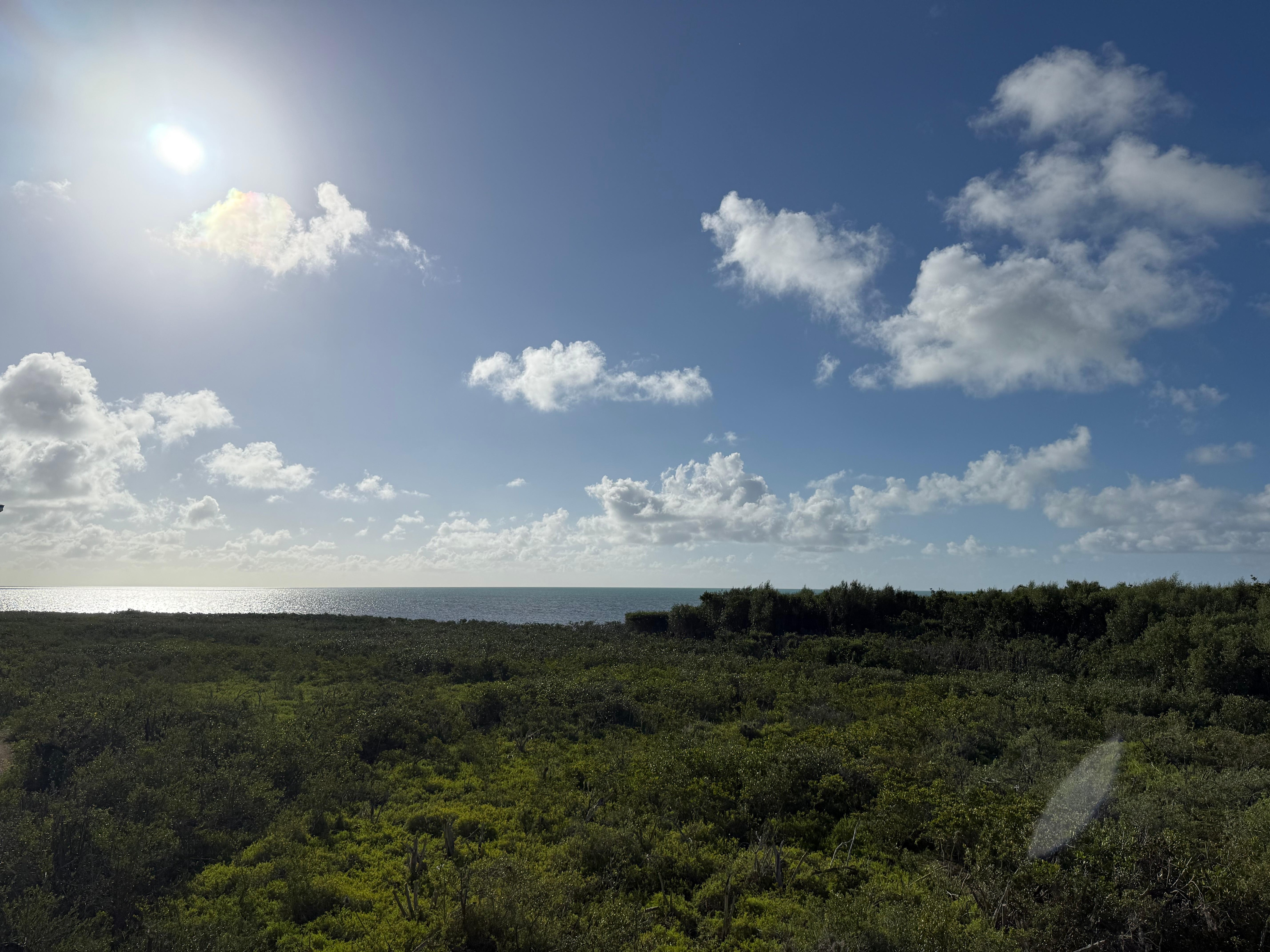 View from the balcony 