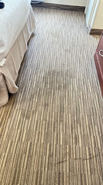 Pet pee stains
