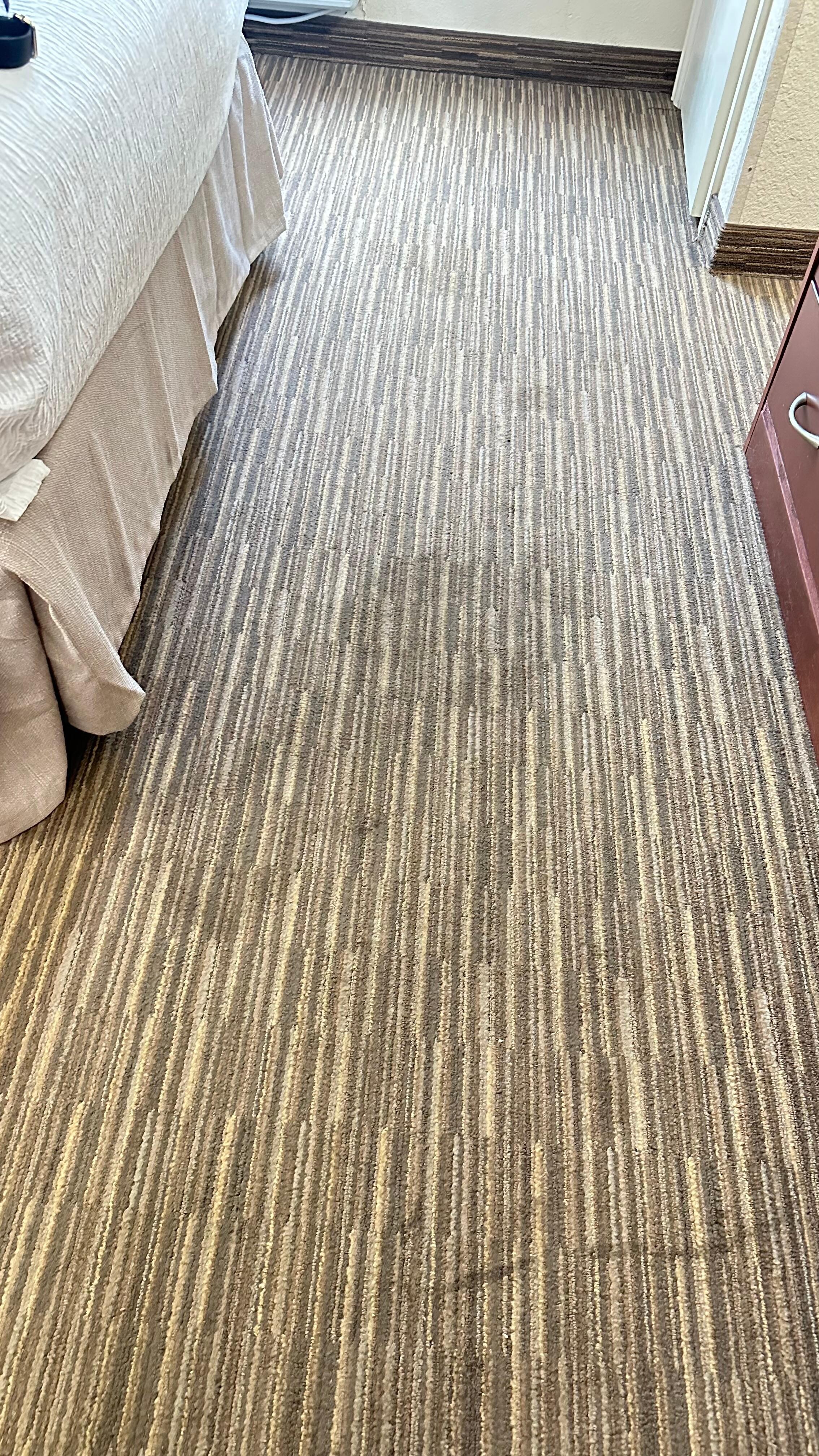 Pet pee stains  