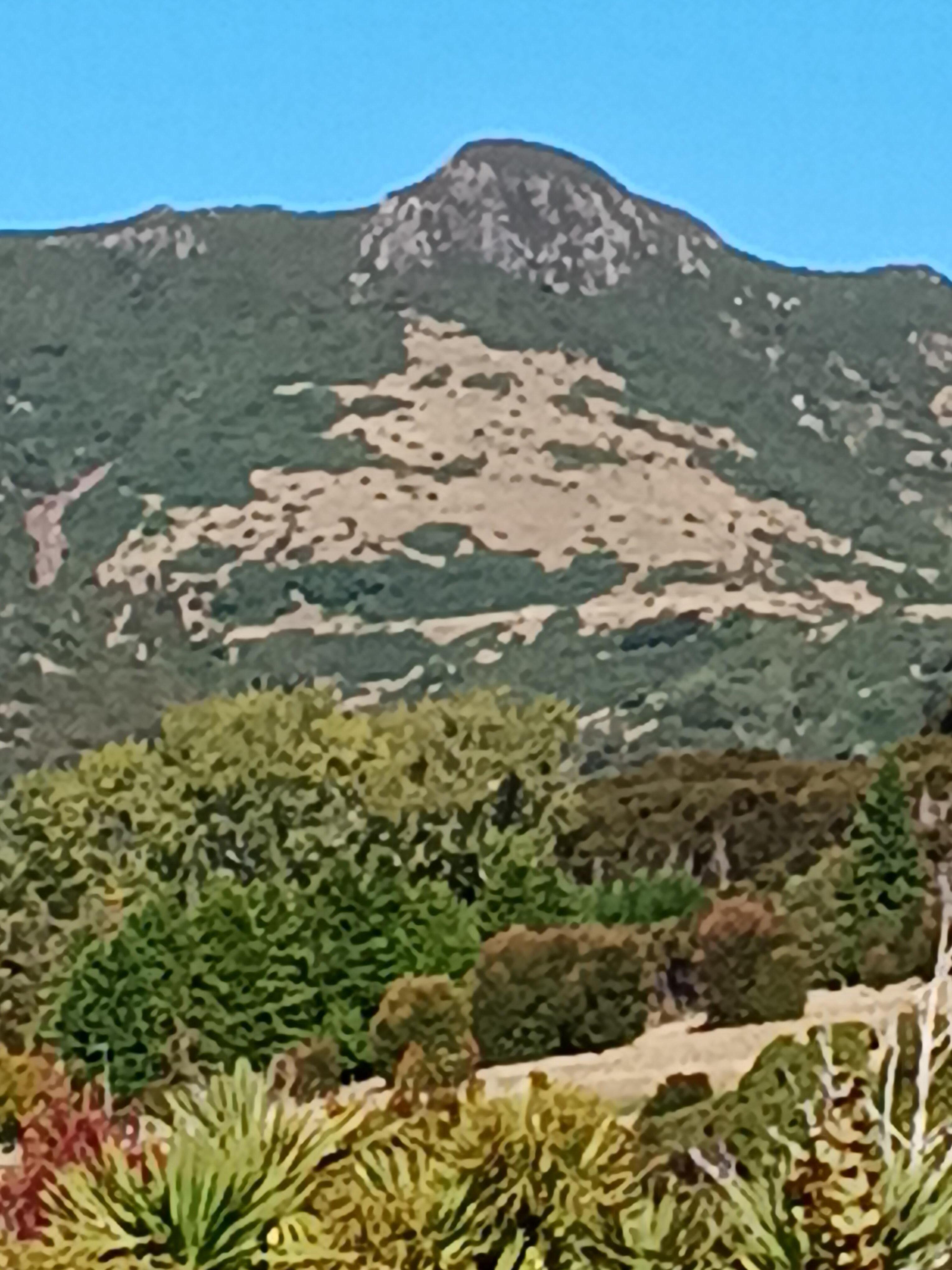 The  view  from the  patio 