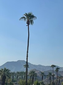 Yes, another view from the balcony.