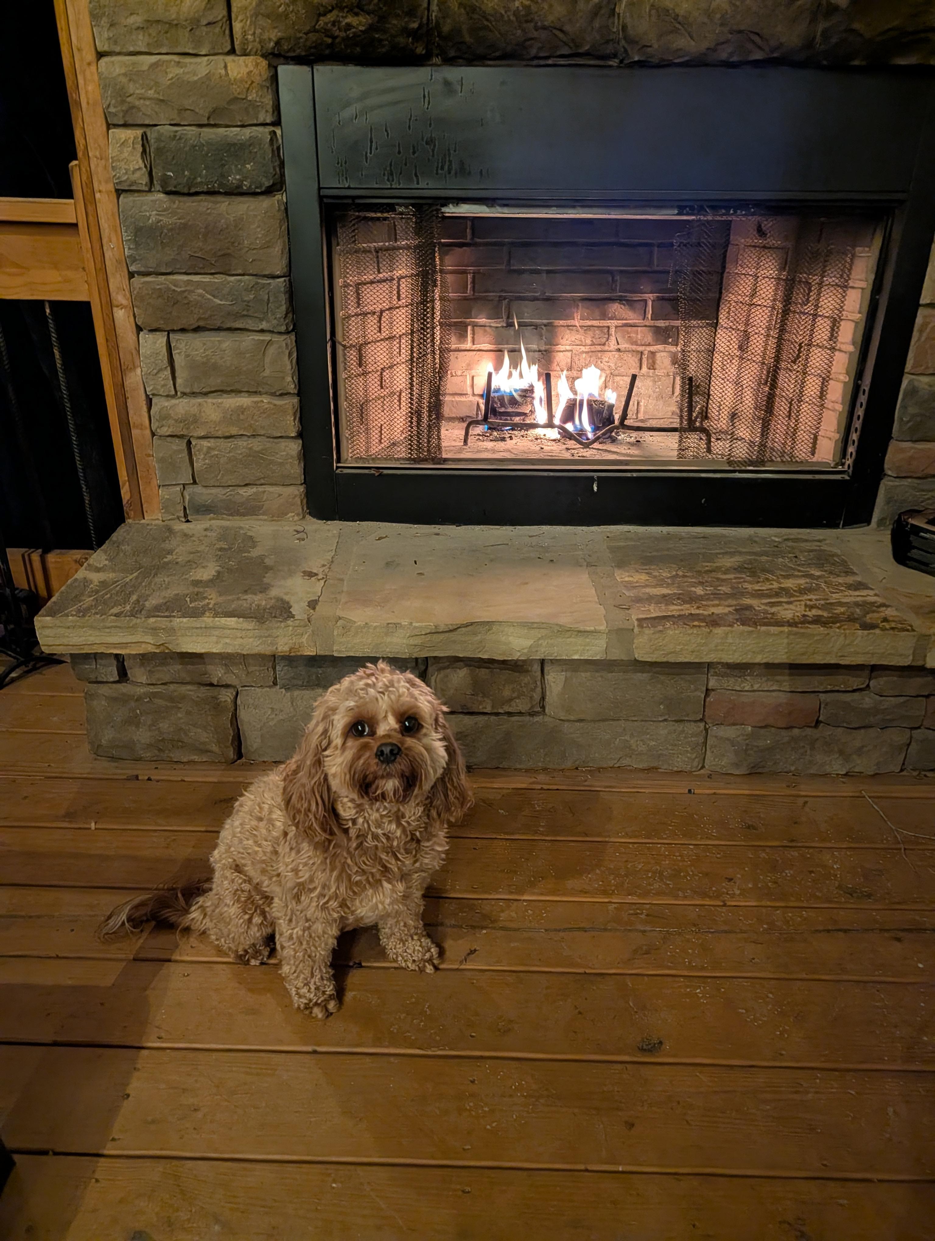Enjoying outdoor fireplace!