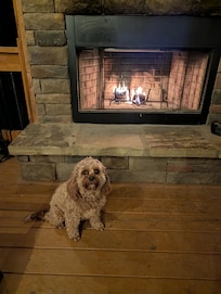 Enjoying outdoor fireplace!