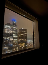 31st floor facing south