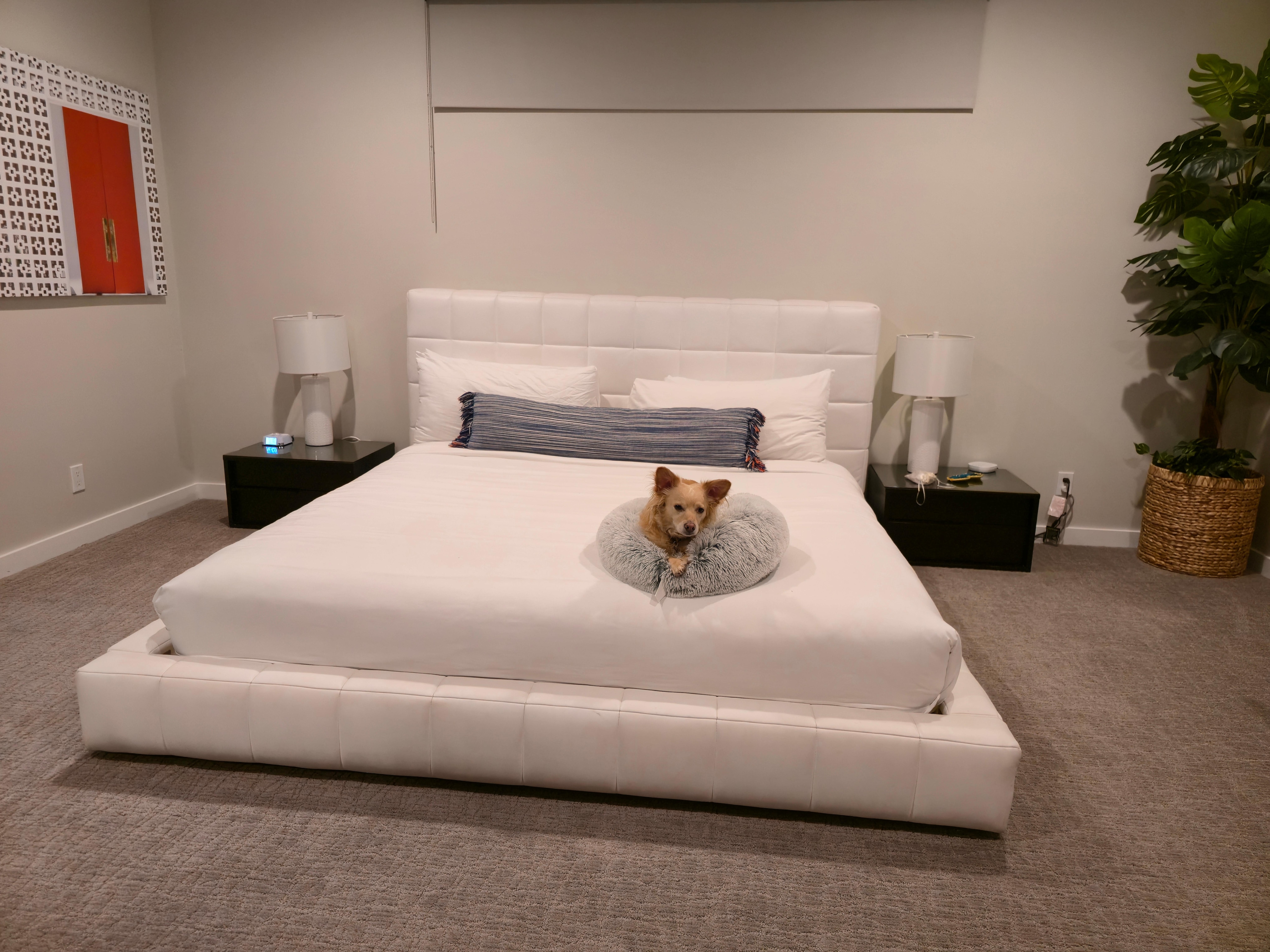 This place is awesome 