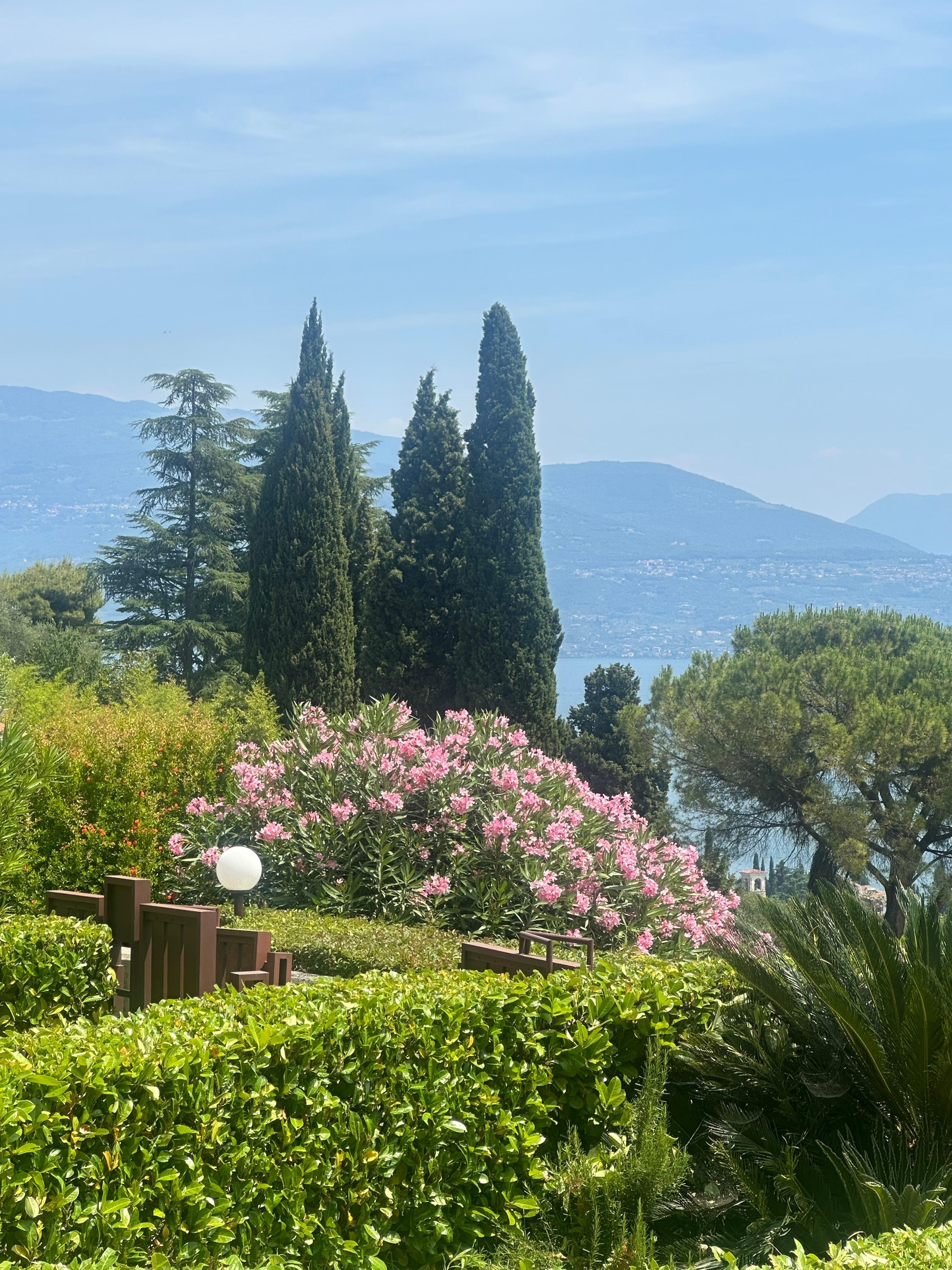 Blick von der Terrasse