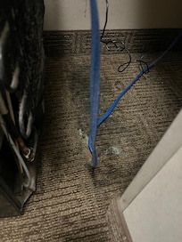 Mold under fridge