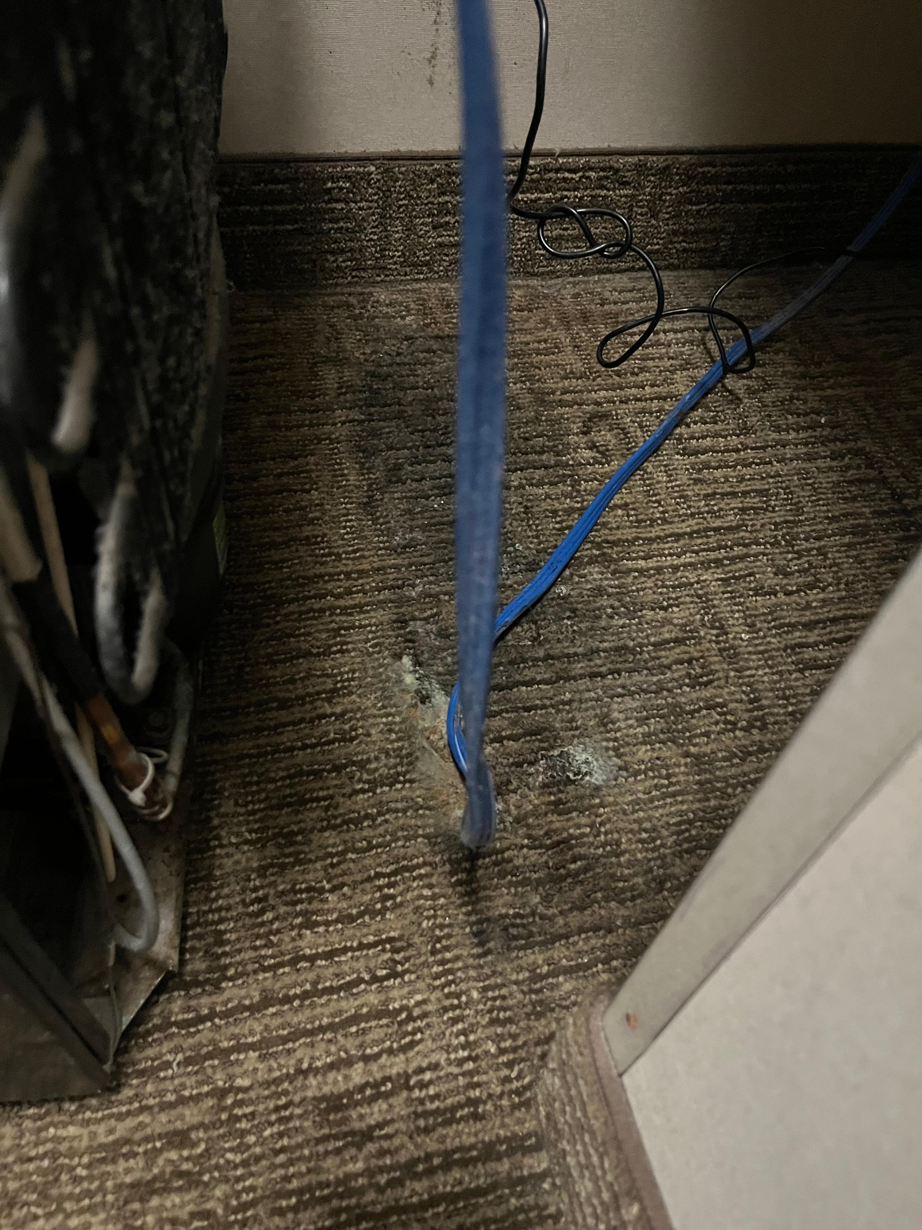 Mold under fridge