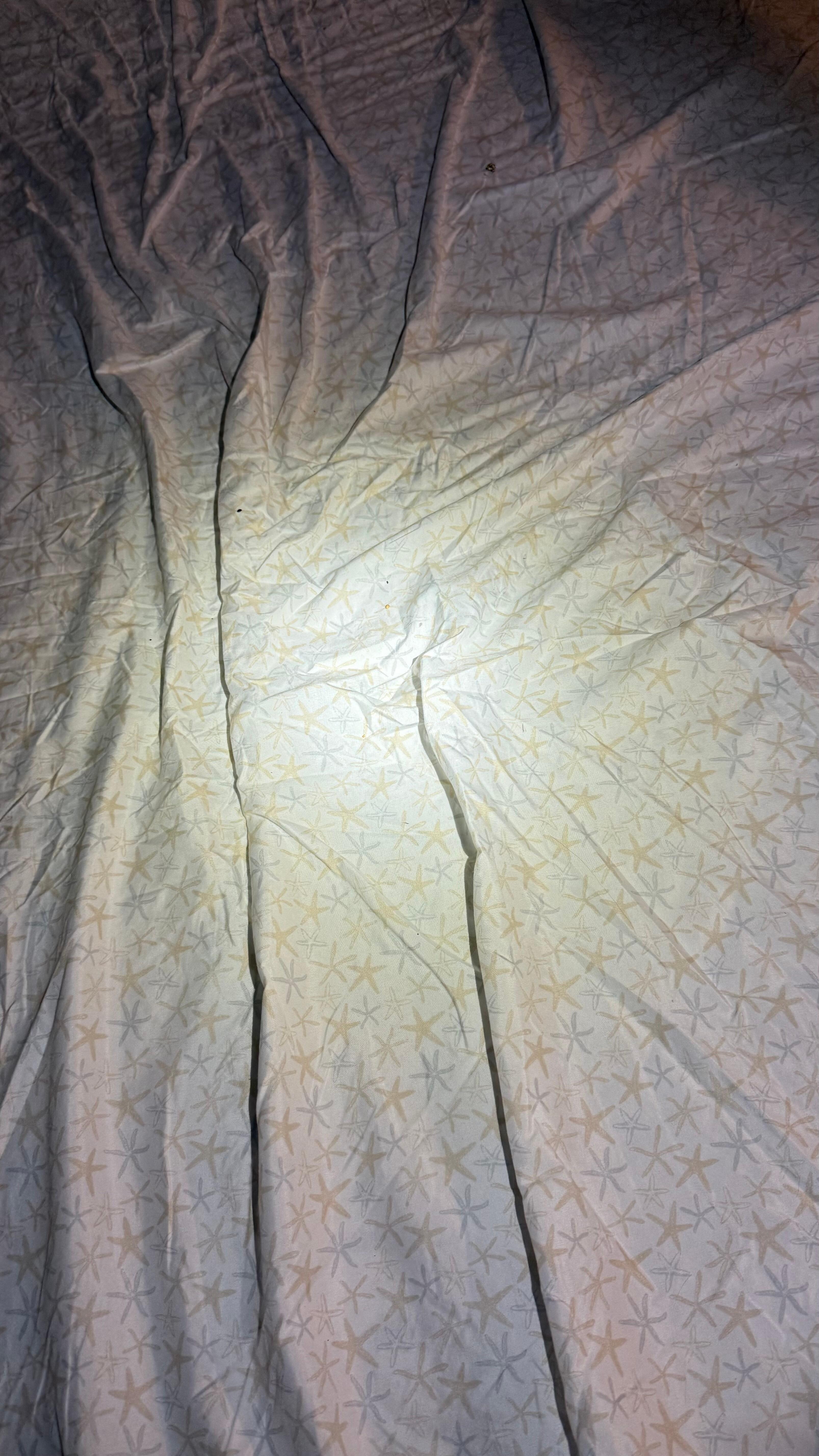 Dirty sheet on pull out couch mattress 