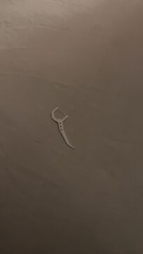 Toothpick found on our bed in our new room