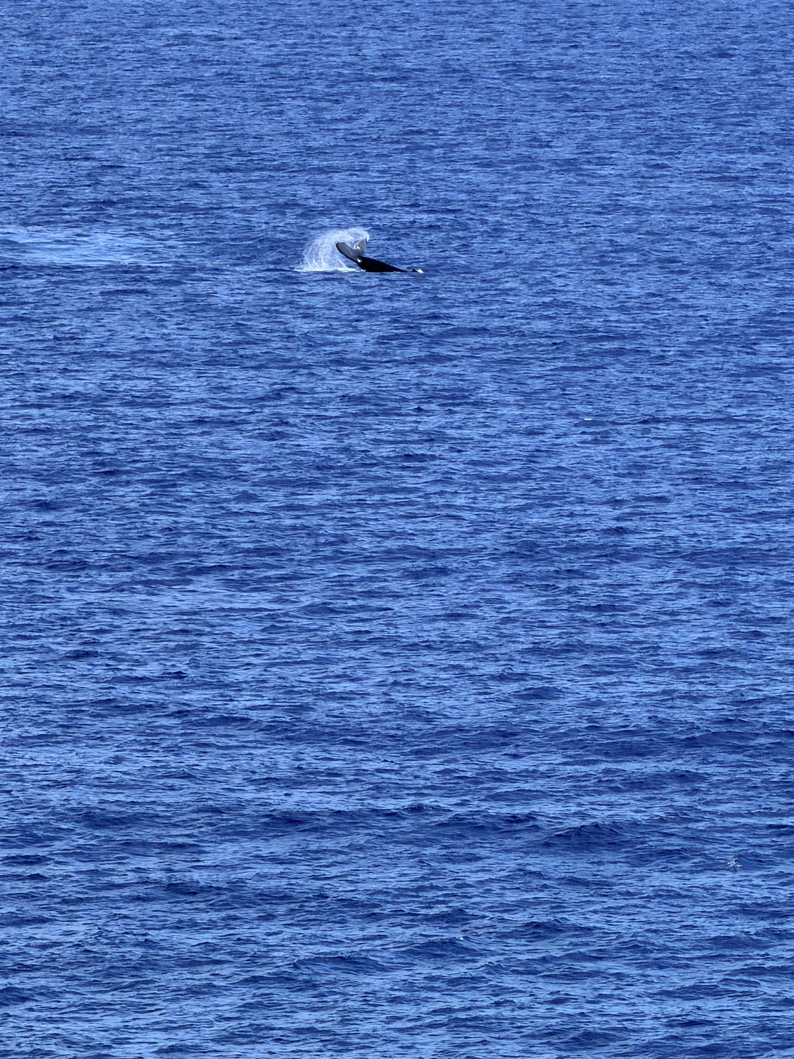 Right out front of the condo 