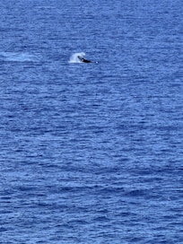 Right out front of the condo