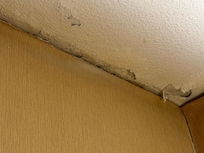 Ceiling with water damage and mold.