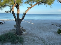 I known it’s “just” a tree but that tree made a world of difference blocking that sun when it would set. Say thank you to that tree!!