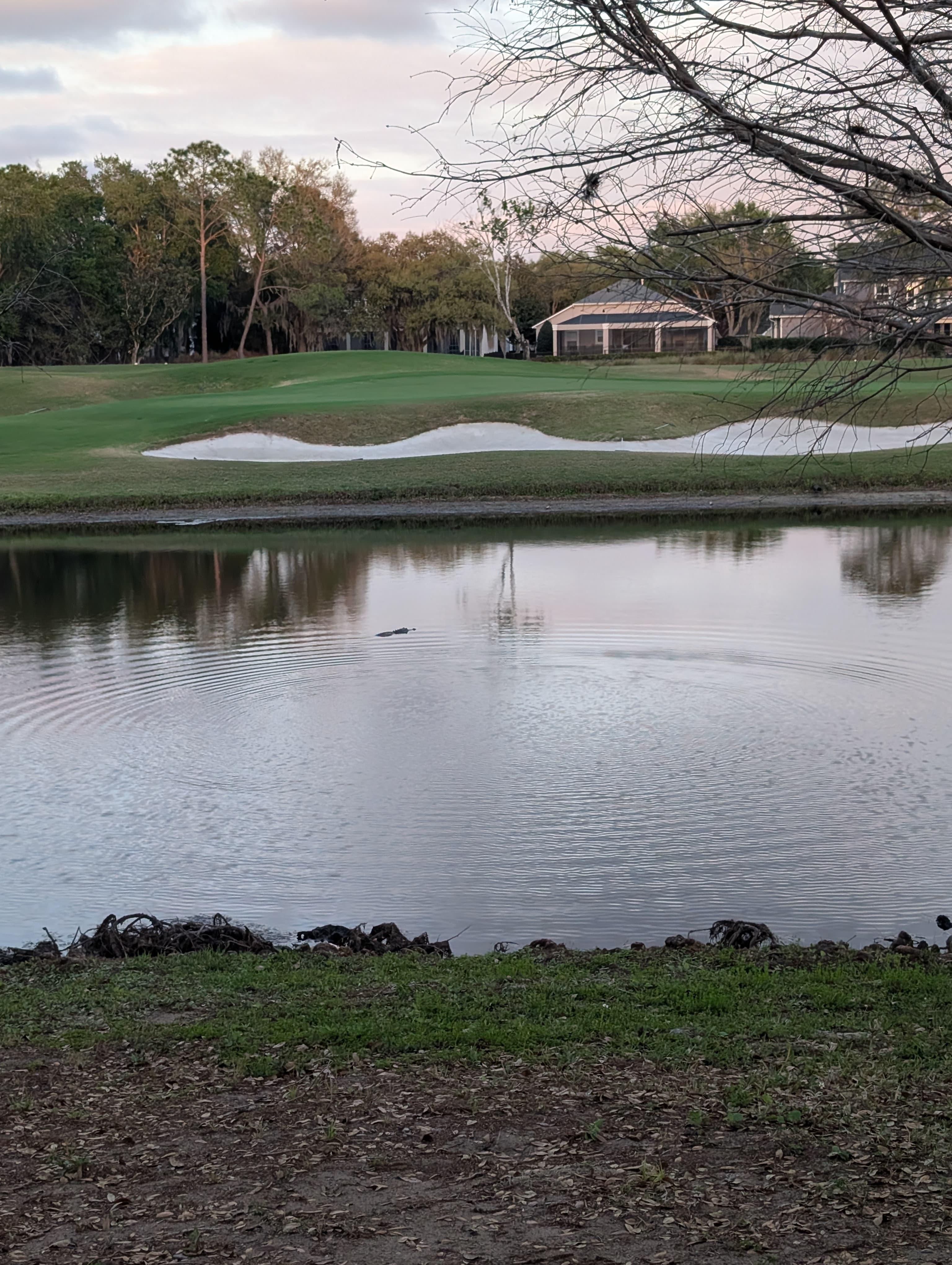 Looking back at the house from the pond.