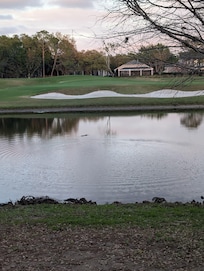 Looking back at the house from the pond.