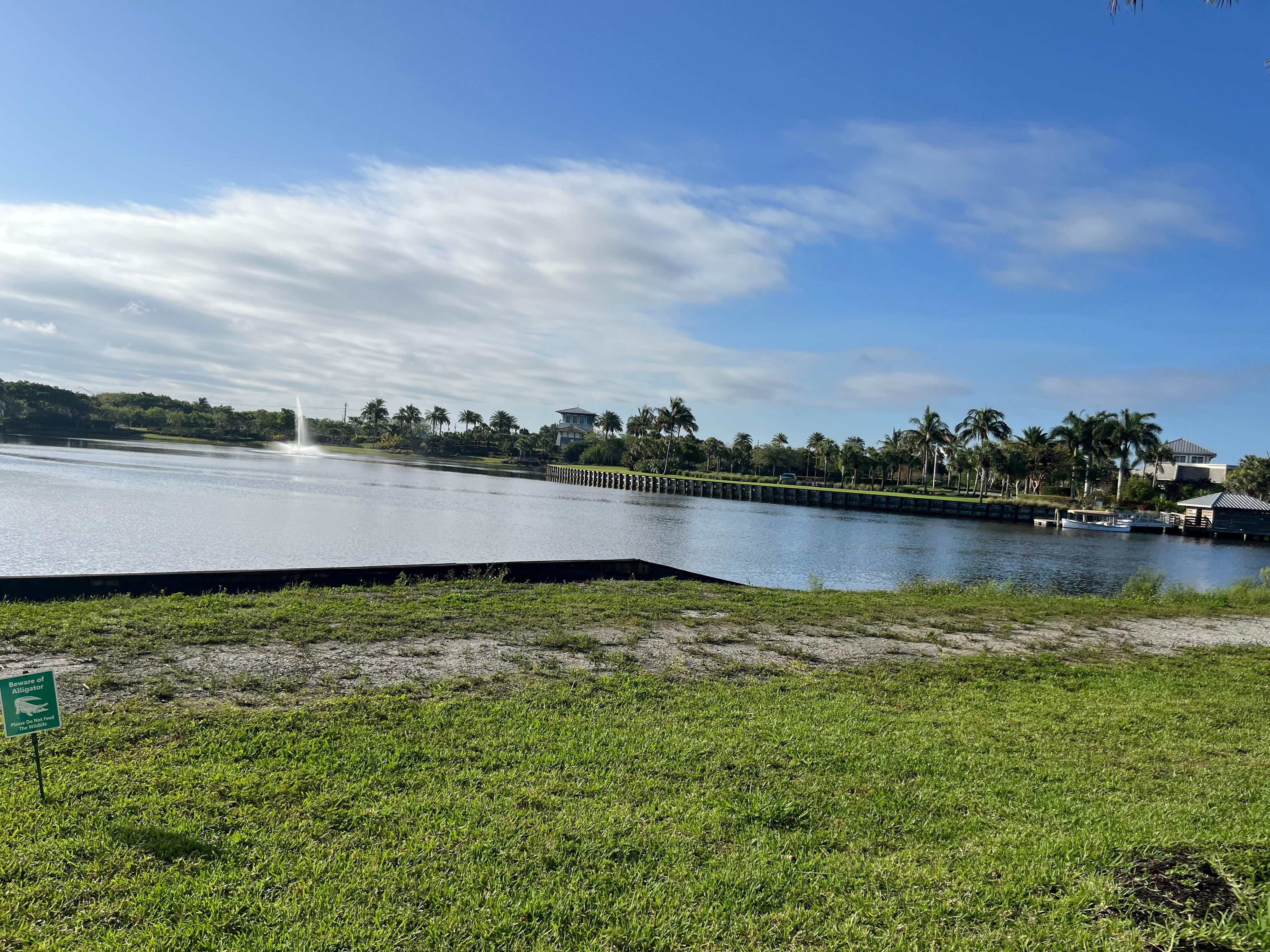View from the pool area. They say if you get up early enough you can see the alligators before it getshoy