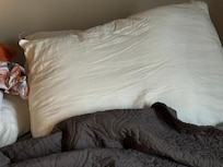 no pillow cases