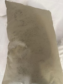 Black mold on pillow