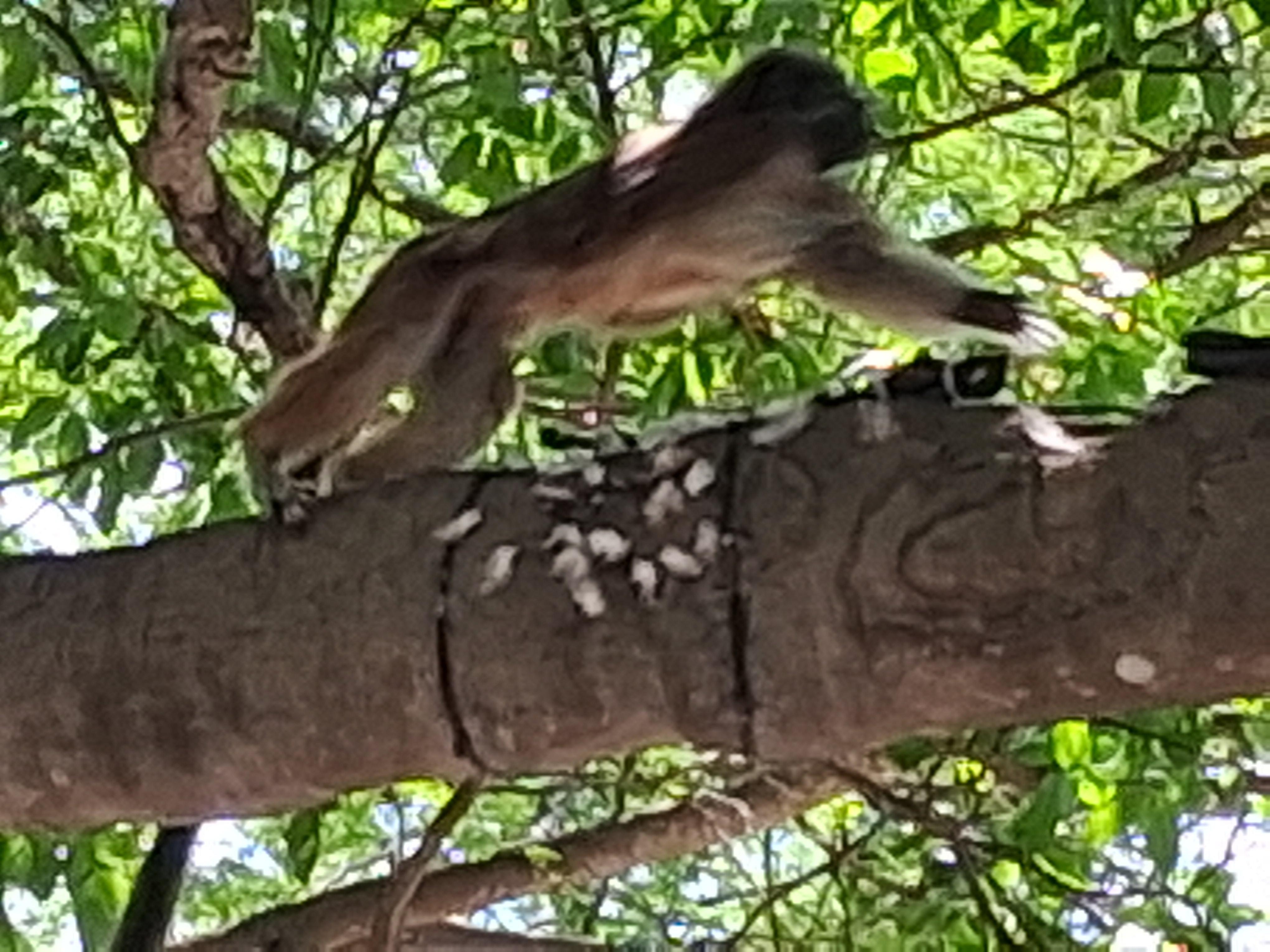 Magnifique parc ( parque centenarios)quelques minutes de marche du B&B