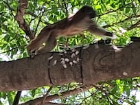 Magnifique parc ( parque centenarios)quelques minutes de marche du B&B