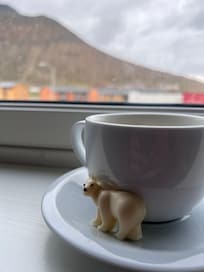 Coffee in the room with a chocolate bear