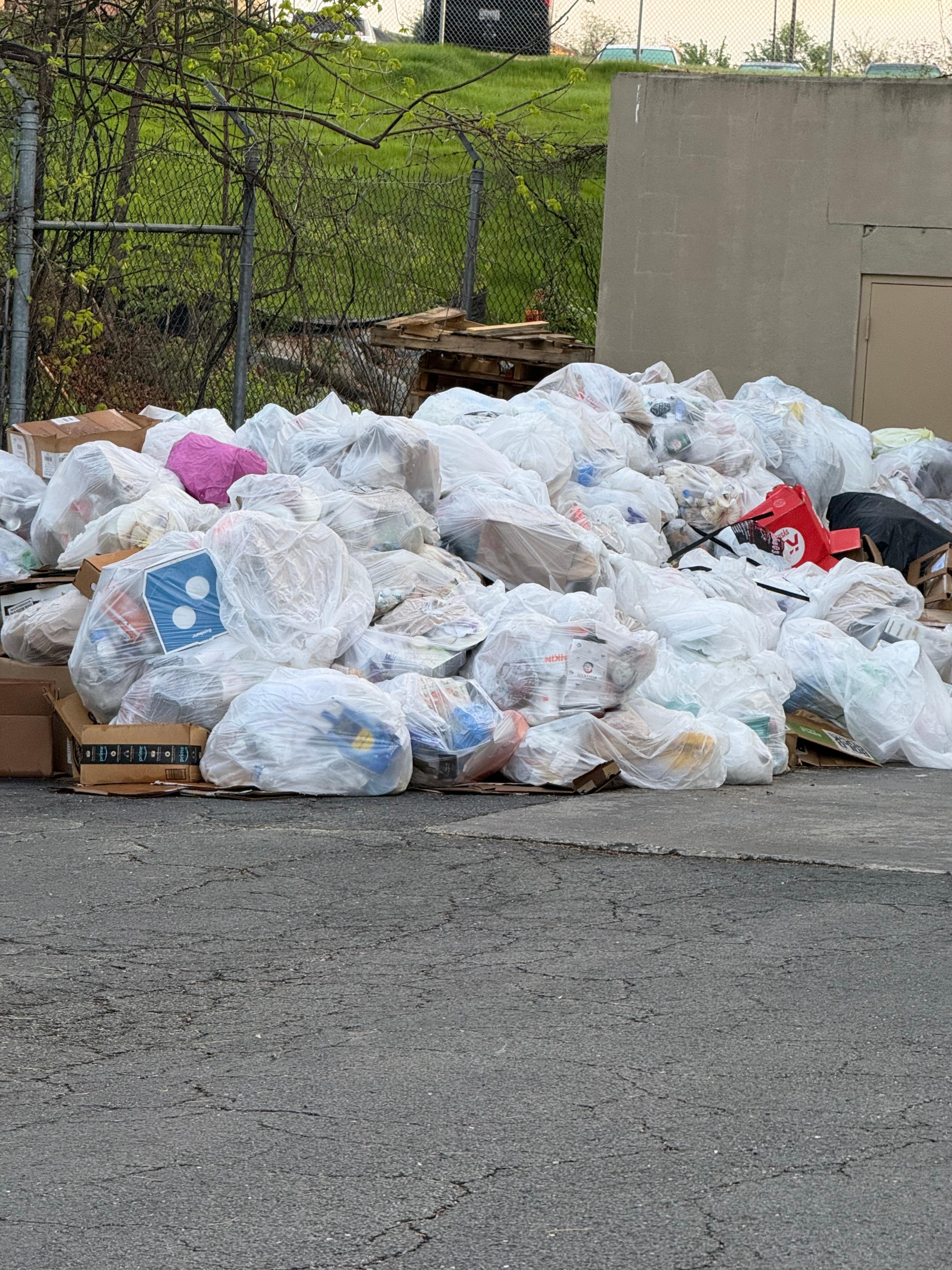 Nasty garbage situation behind the hotel