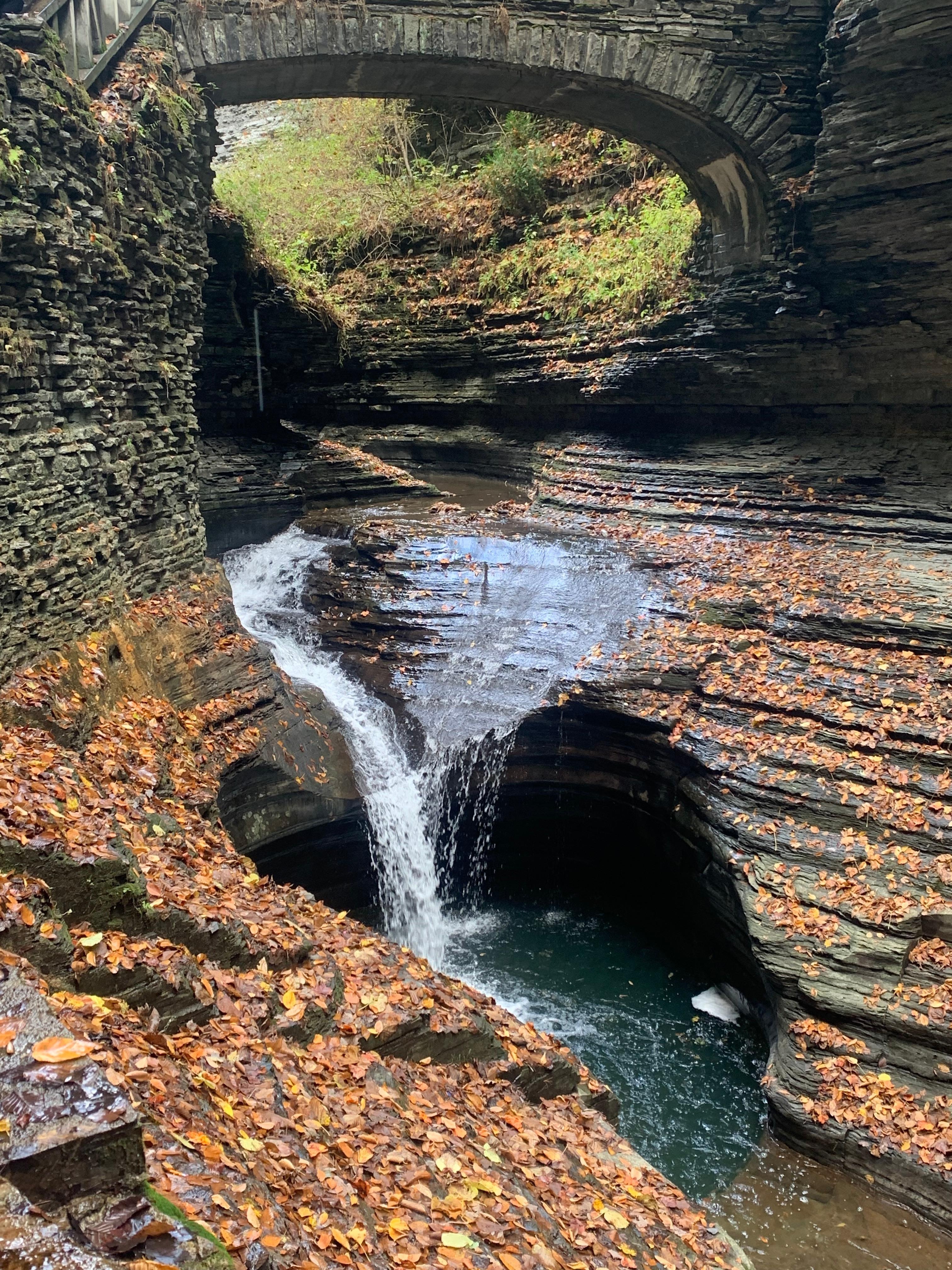 Watkins Glen