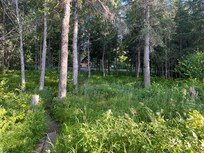 View of the cabin from the lake. The walk is very short.