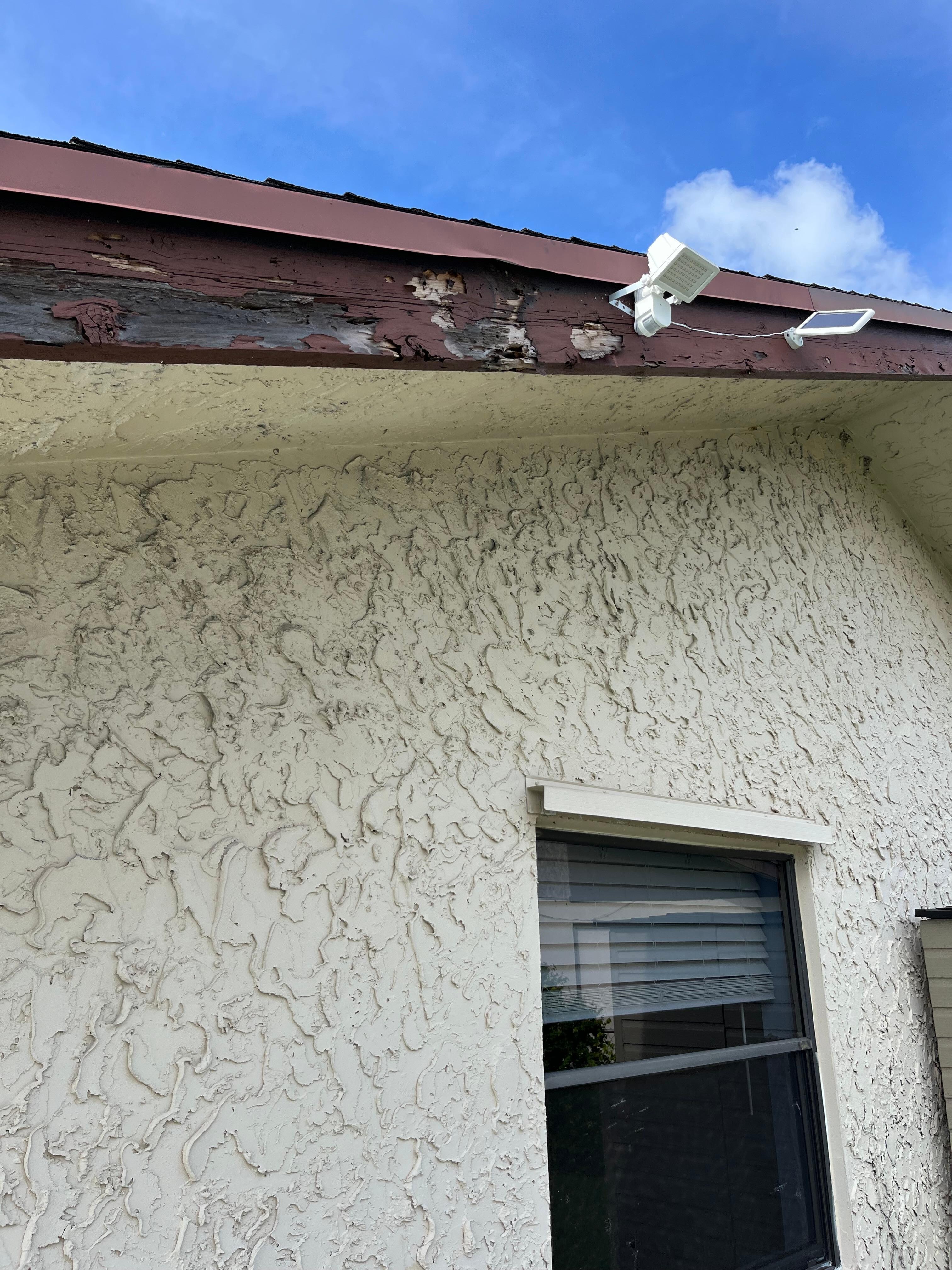 Eaves