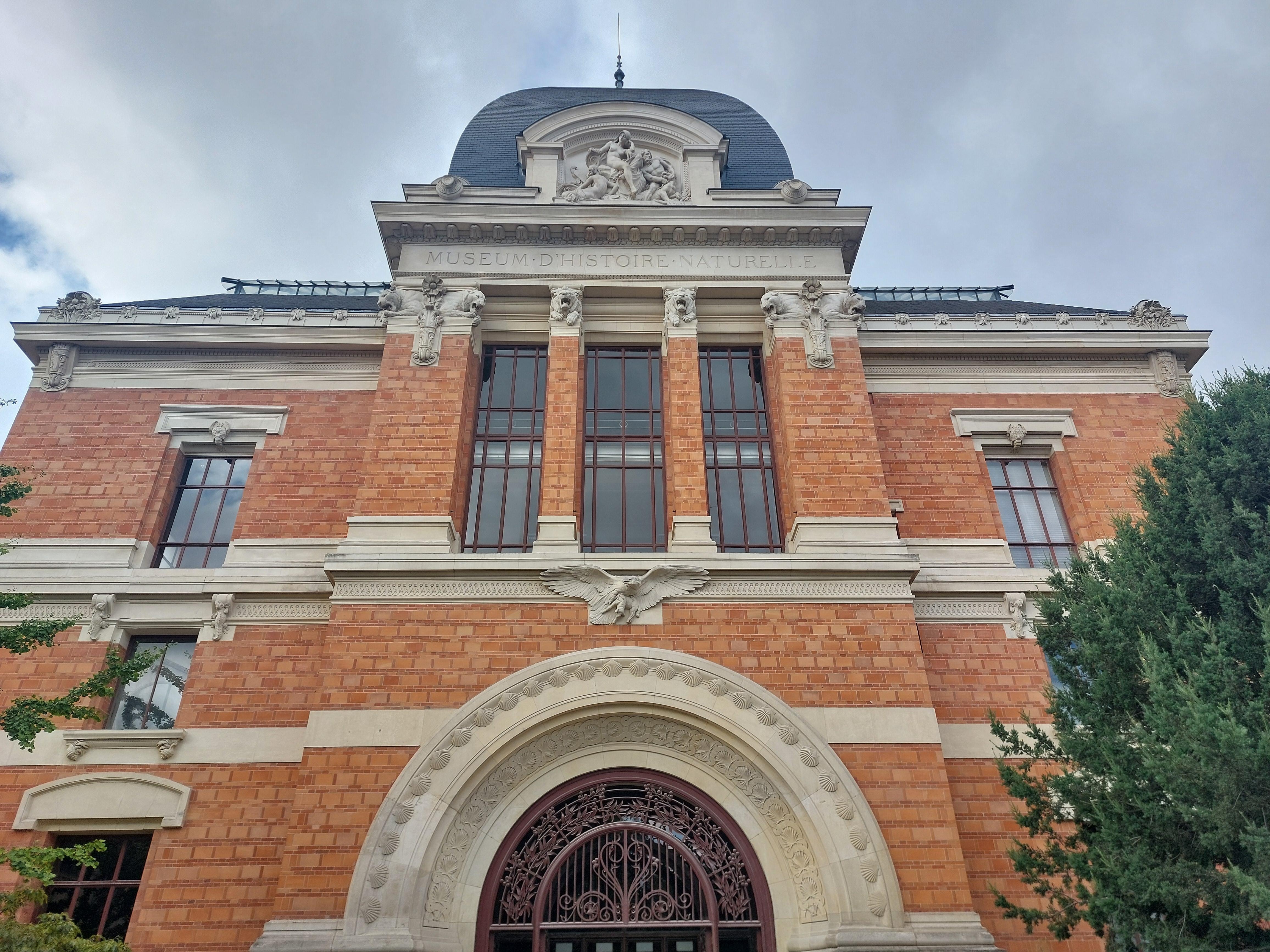 Musée d'histoire naturelle