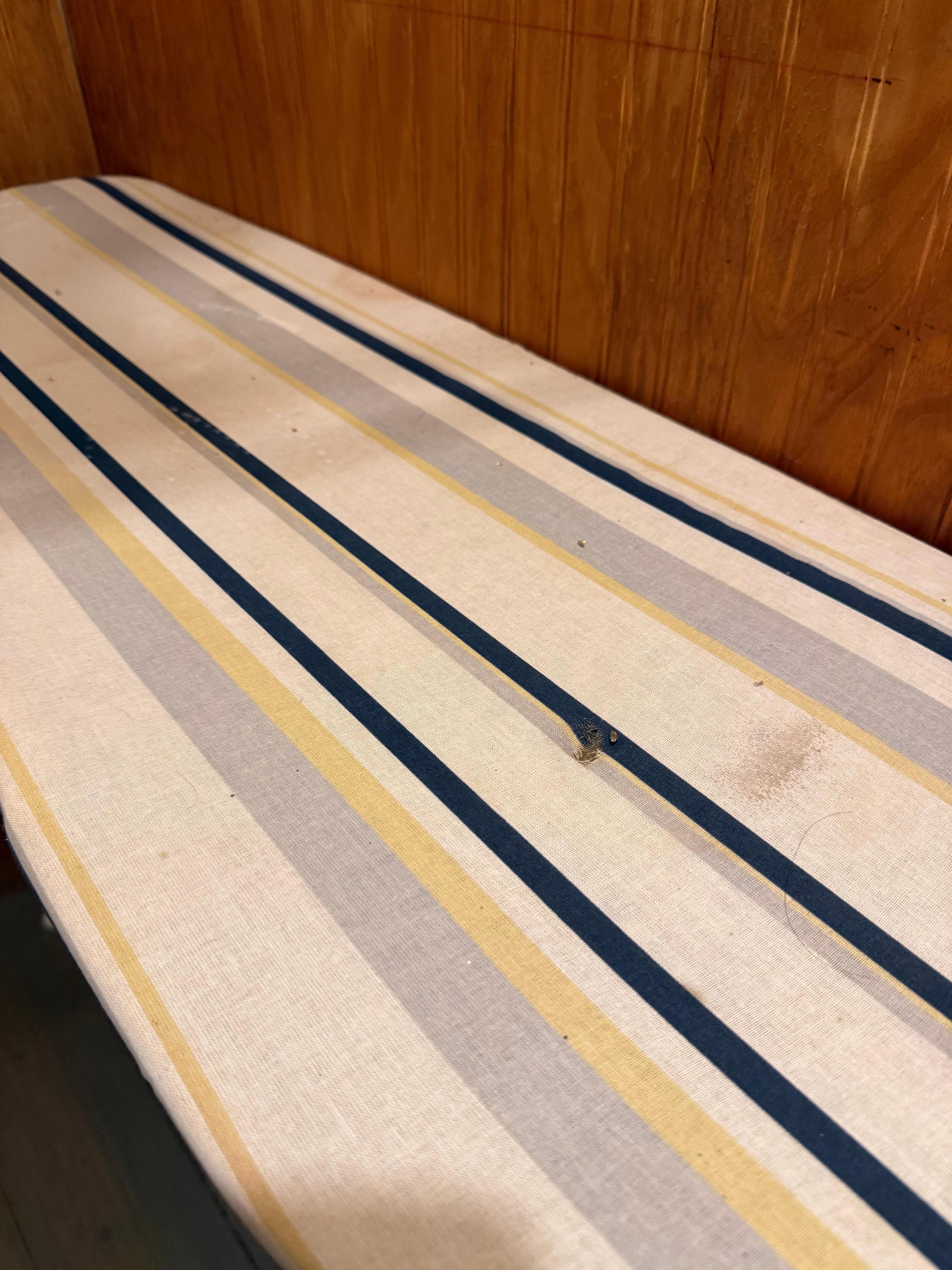 Closet/ ironing board room , filthy board , spider webs and dead bugs on the board, 