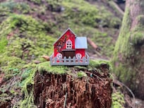 Hike above cabin