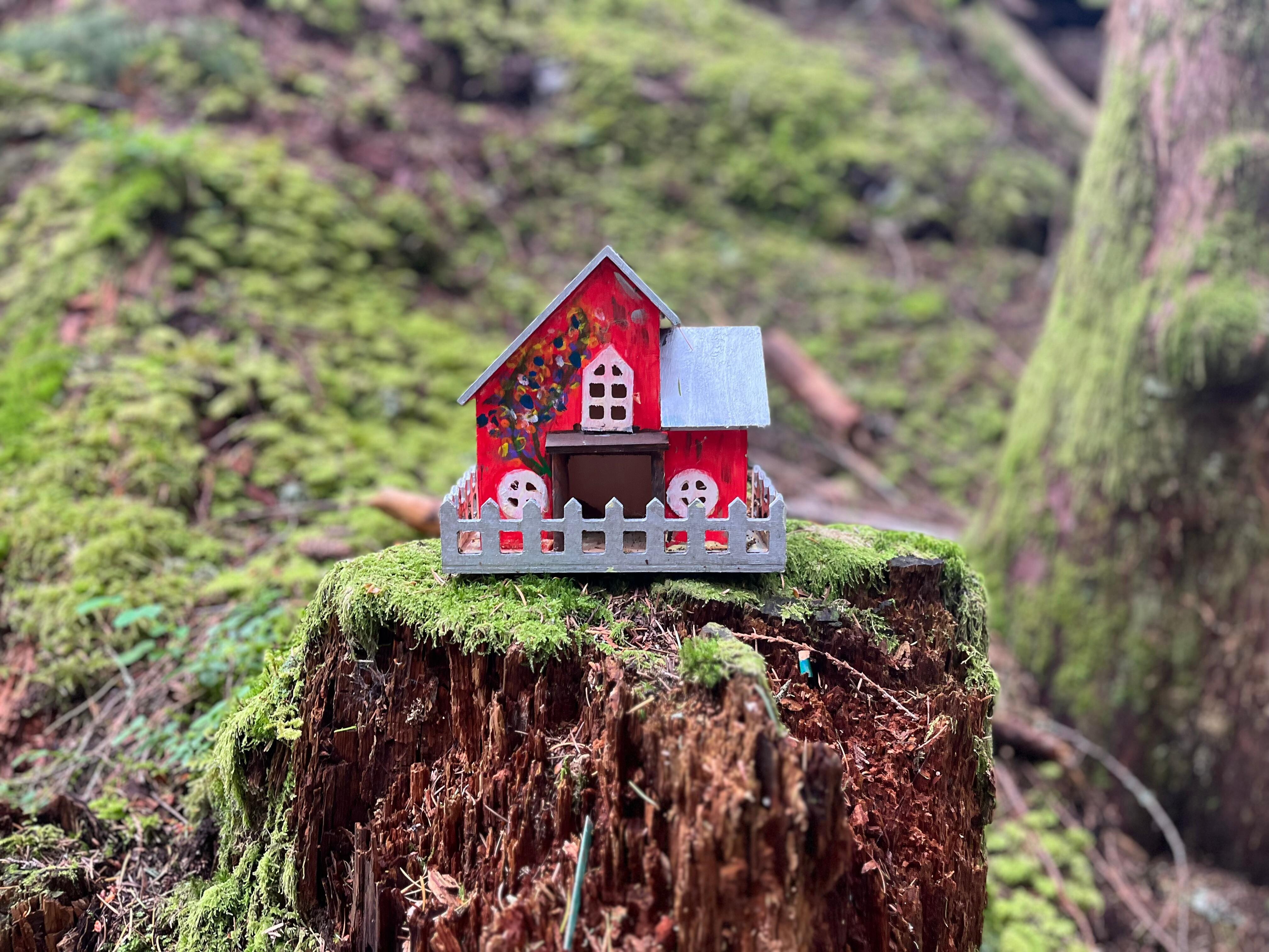 Hike above cabin