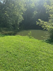 View from back porch