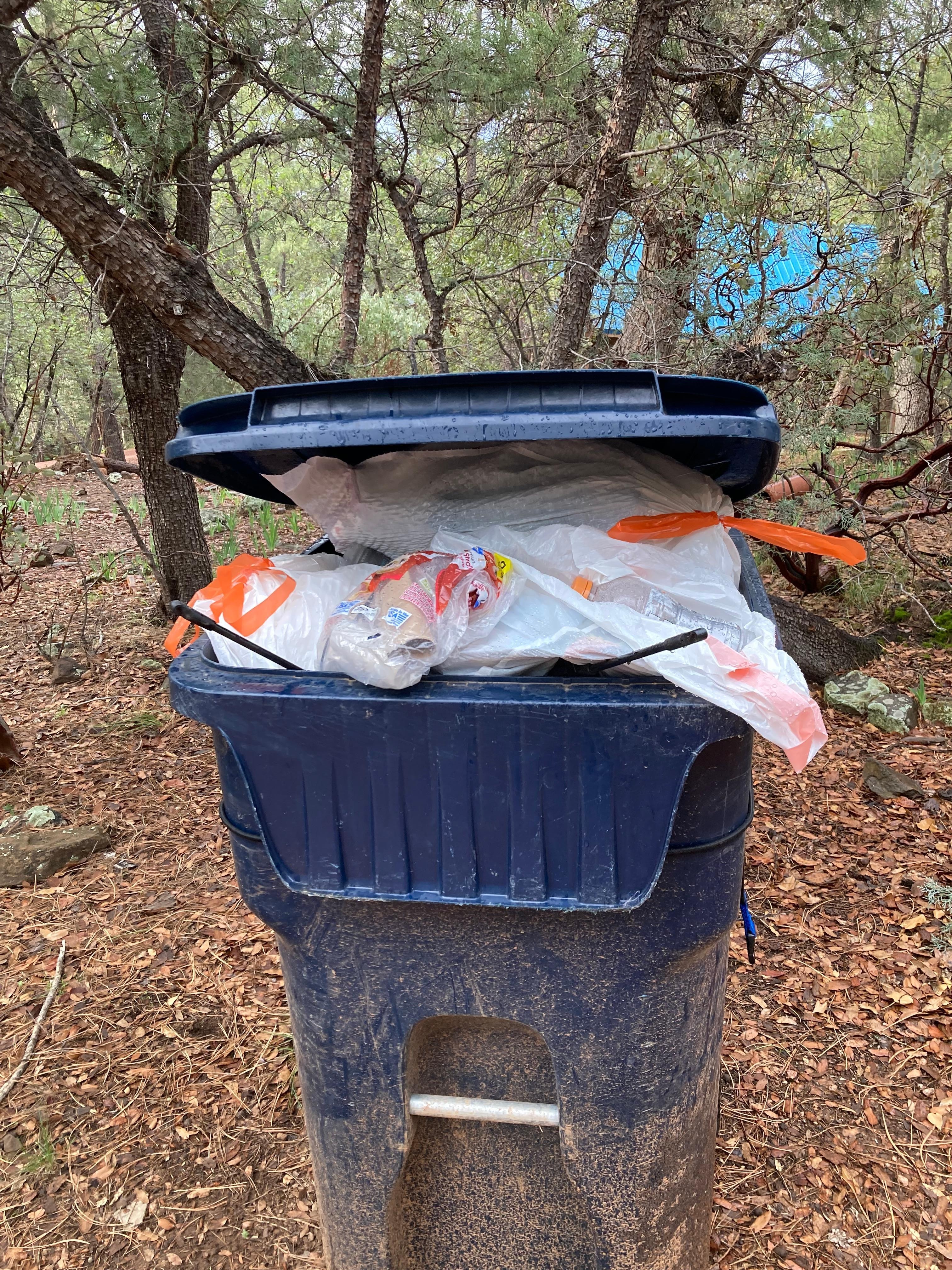 Tried to tell him that the trash was overflowing. Somehow, I got my garbage in there any