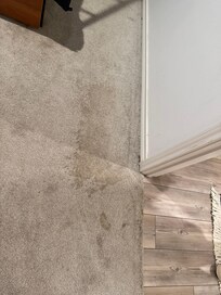 Stained carpet in 3 rooms